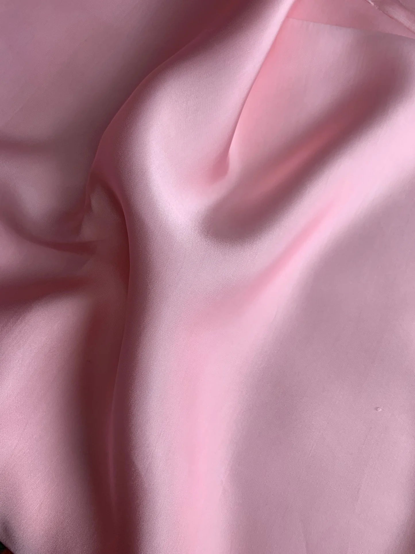 Blush Rose